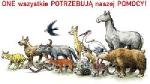 „Bądź człowiekiem wśród stworzeń, bratem między braćmi” św. Franciszek z Asyżu