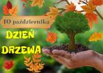 Światowy Dzień Drzewa